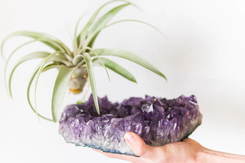 The Top 5 Crystals For Vibrant Plants & Gardens - Littleton Rock Shop