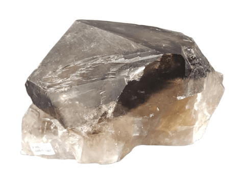 Brazilian Smoky Quartz Point - Littleton Rock Shop