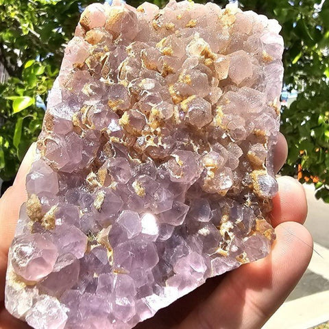 Druzy Amethyst Cluster (Assorted) - Littleton Rock Shop