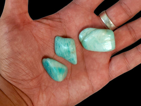 Amazonite Tumbled Stone - Littleton Rock Shop