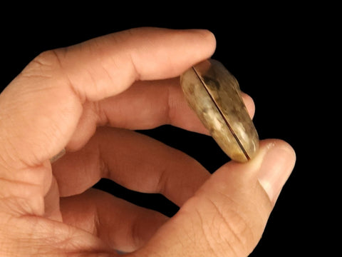 Ammonite Pair (Small) - Littleton Rock Shop