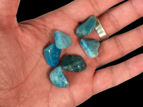 Blue Apatite Tumbled Stone - Littleton Rock Shop