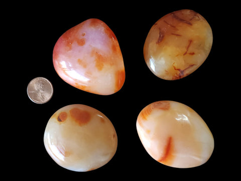 Carnelian Palm Stone (Small) - Littleton Rock Shop