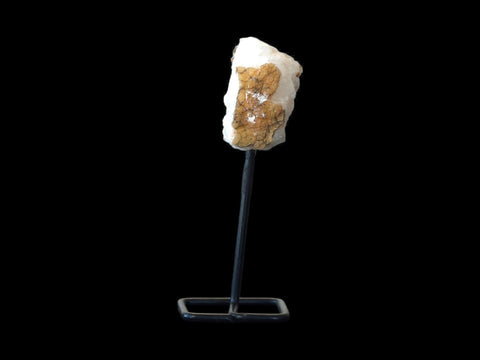 Citrine Cluster with Stand (4") - Littleton Rock Shop