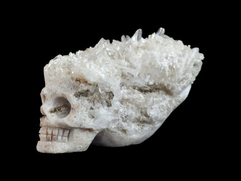 Clear Quartz Cluster Skull (Medium) - Littleton Rock Shop