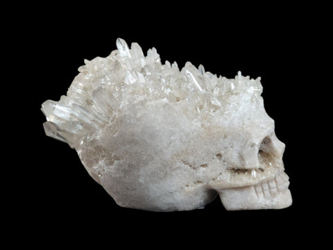 Clear Quartz Cluster Skull (Medium) - Littleton Rock Shop