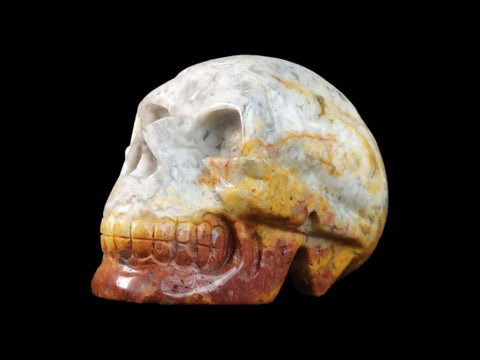 Crazy Lace Agate Skull (2.25") - Littleton Rock Shop