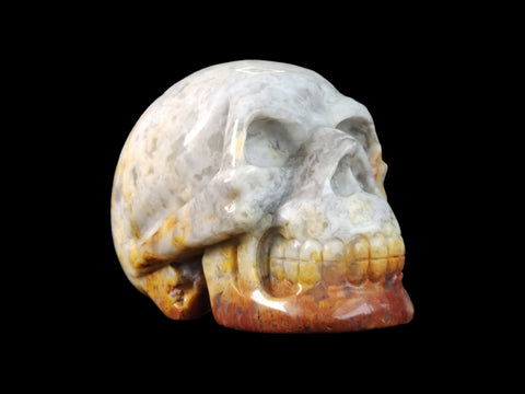 Crazy Lace Agate Skull (2.25") - Littleton Rock Shop