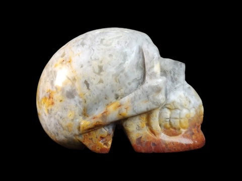 Crazy Lace Agate Skull (2.25") - Littleton Rock Shop