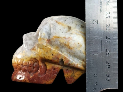 Crazy Lace Agate Skull (2.25") - Littleton Rock Shop