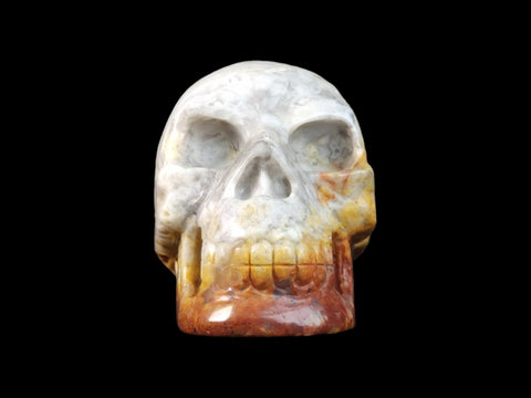 Crazy Lace Agate Skull (2.25") - Littleton Rock Shop