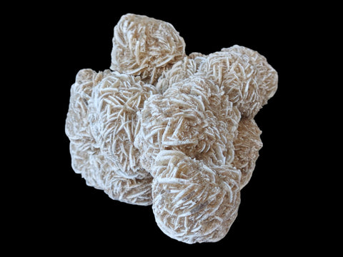 Desert Rose Cluster (Large) - Littleton Rock Shop