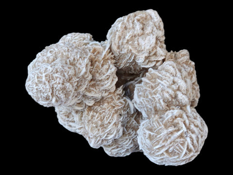 Desert Rose Cluster (Large) - Littleton Rock Shop