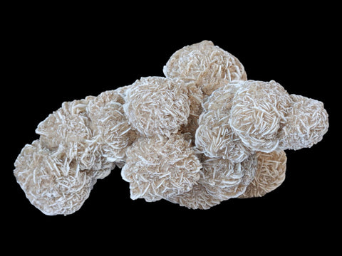 Desert Rose Cluster (Large) - Littleton Rock Shop