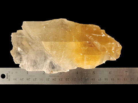 Golden Phantom Selenite Specimen (Large) - Littleton Rock Shop