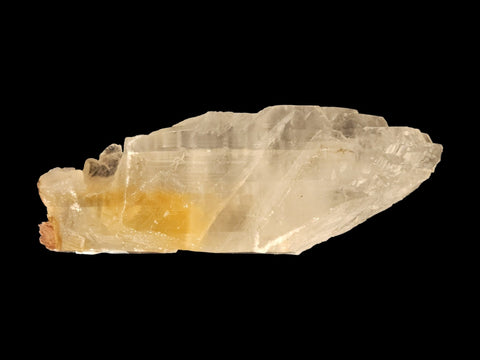 Golden Phantom Selenite Specimen (Large) - Littleton Rock Shop