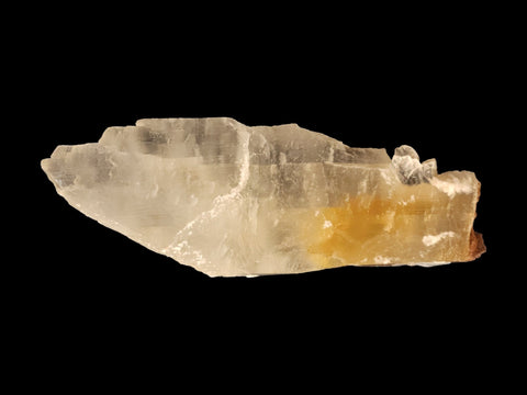 Golden Phantom Selenite Specimen (Large) - Littleton Rock Shop