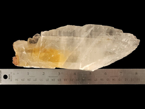 Golden Phantom Selenite Specimen (Large) - Littleton Rock Shop