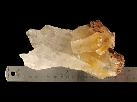 Golden Phantom Selenite Specimen (Medium) - Littleton Rock Shop