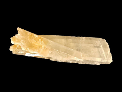 Golden Phantom Selenite Specimen (Medium) - Littleton Rock Shop