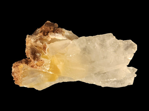 Golden Phantom Selenite Specimen (Medium) - Littleton Rock Shop