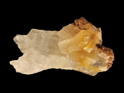 Golden Phantom Selenite Specimen (Medium) - Littleton Rock Shop