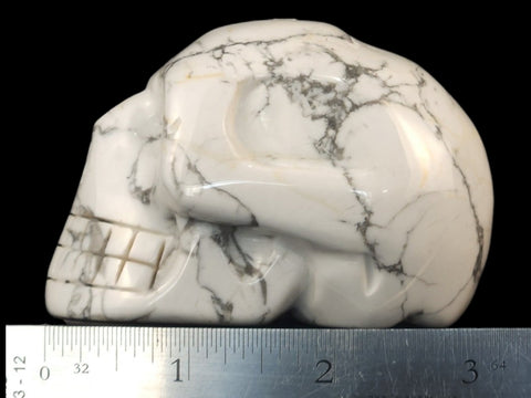 Howlite Skull (Large) - Littleton Rock Shop