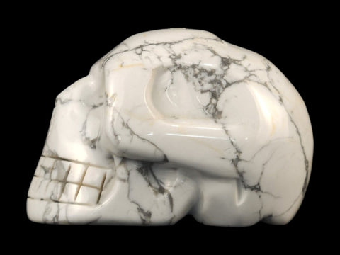 Howlite Skull (Large) - Littleton Rock Shop