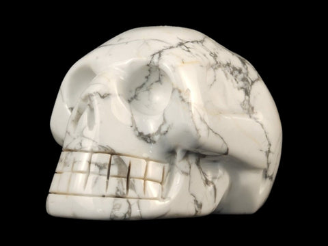 Howlite Skull (Large) - Littleton Rock Shop