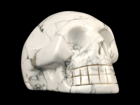 Howlite Skull (Large) - Littleton Rock Shop