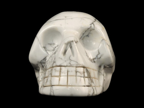 Howlite Skull (Large) - Littleton Rock Shop