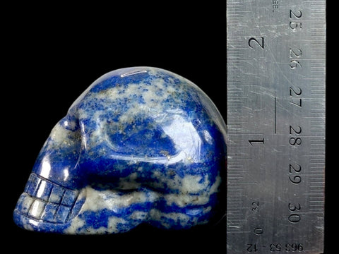 Lapis Lazuli Skull (Small) - Littleton Rock Shop