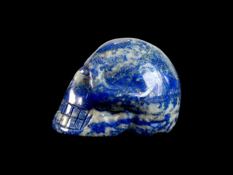 Lapis Lazuli Skull (Small) - Littleton Rock Shop