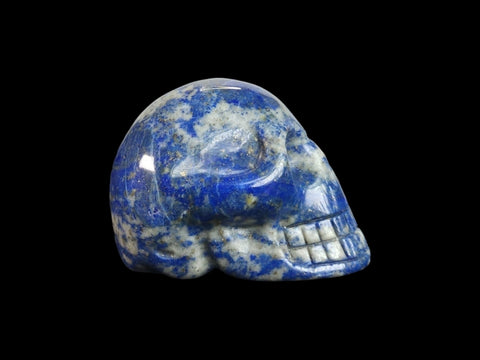 Lapis Lazuli Skull (Small) - Littleton Rock Shop