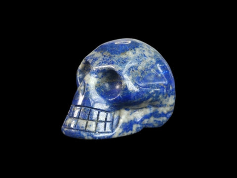 Lapis Lazuli Skull (Small) - Littleton Rock Shop