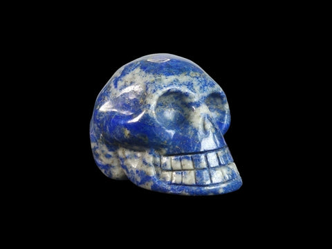 Lapis Lazuli Skull (Small) - Littleton Rock Shop