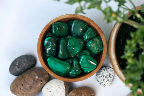 Malachite Tumbled Stone - Littleton Rock Shop