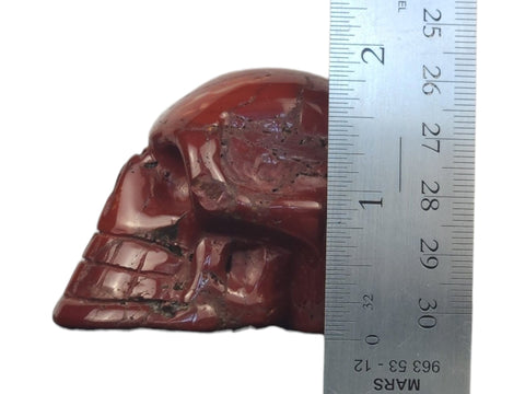 Mookaite Skull (Medium) - Littleton Rock Shop