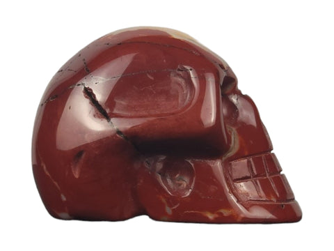 Mookaite Skull (Medium) - Littleton Rock Shop