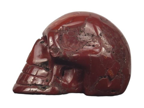 Mookaite Skull (Medium) - Littleton Rock Shop