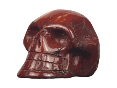 Mookaite Skull (Medium) - Littleton Rock Shop