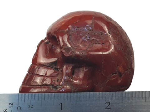 Mookaite Skull (Medium) - Littleton Rock Shop