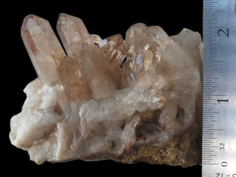 Red Feather Lakes Quartz Cluster (Large) - Littleton Rock Shop