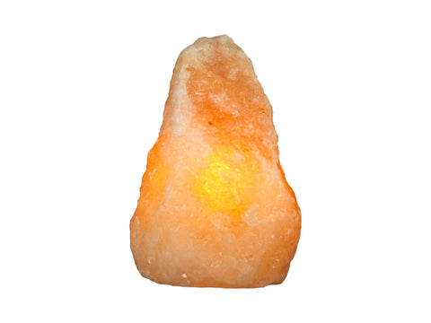 Salt Lamp (Assorted Shapes) - Littleton Rock Shop