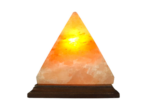 Salt Lamp (Assorted Shapes) - Littleton Rock Shop