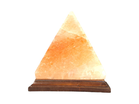 Salt Lamp (Assorted Shapes) - Littleton Rock Shop