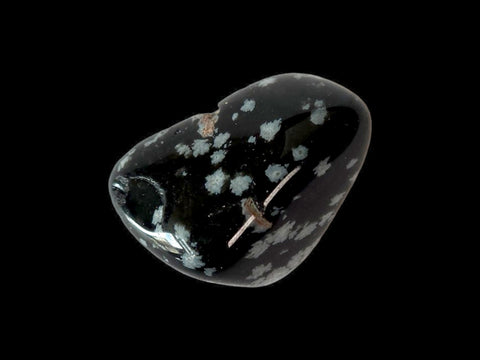 Snowflake Obsidian Tumbled Stone - Littleton Rock Shop