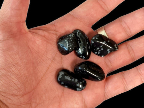 Snowflake Obsidian Tumbled Stone - Littleton Rock Shop