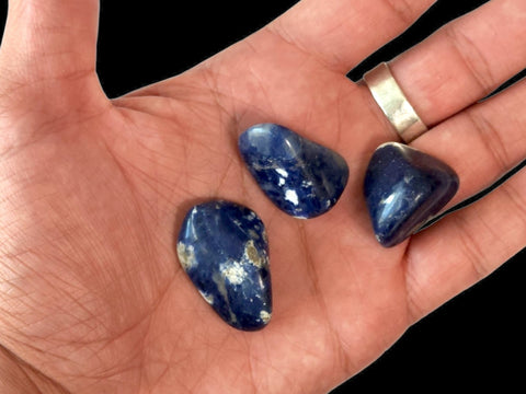 Sodalite Tumbled Stone - Littleton Rock Shop