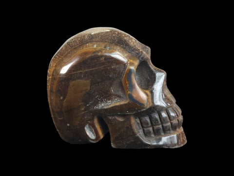 Tiger's Eye Skull (Large) - Littleton Rock Shop